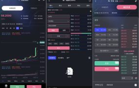 综合交易所    15国语言 可定制